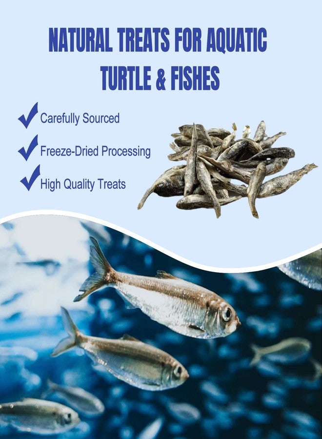 Amzey 2.3 oz Dried River Fish - Natural Food for Turtles, Terrapins, Reptiles and Large Tropical Fish - Image 3